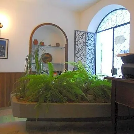 Gnura Momma 3* Λόκρι