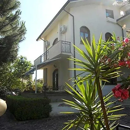 Gnura Momma 3* Λόκρι