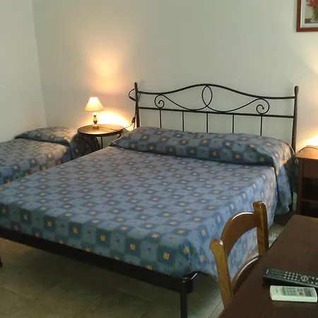 Gnura Momma Λόκρι